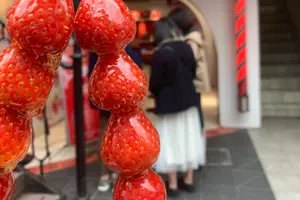 休日を原宿で定番パンケーキ🍽触れ合い🐷ウインタースポーツ⛸