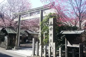 蔵前神社のミモザ&神社寺院の御朱印巡りと法話カフェ