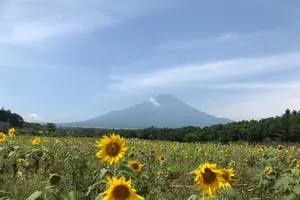 初めてのお気楽ソロテント泊の旅🏕『山梨〜長野、富士山〜八ヶ岳を望むゆるキャン旅』