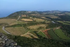 久米島一周ドライブ絶景珍景めぐり