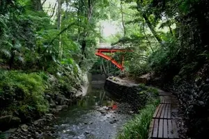 都会のオアシス！等々力渓谷で癒やされよう
