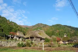 【京都】大人な京都グルメ食べ尽くし旅🦌