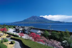 旬の鹿児島