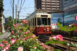 都電荒川線食べ歩きの旅