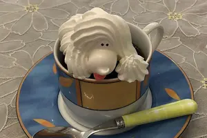 【横浜駅周辺】ふらっと立ち寄れるスポット紹介🌝
