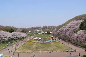 神奈川県で子連れで遊ぶとこ