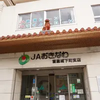 首里城の写真・動画_image_413851