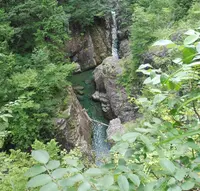 川浦渓谷の写真・動画_image_91186
