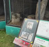 帯広動物園の写真・動画_image_437233