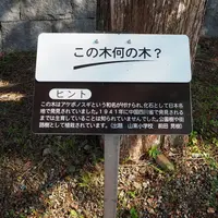 四季の郷公園の写真・動画_image_160979