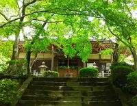 勝持寺の写真・動画_image_78622