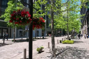 ヨーキー・レオと、有楽町から丸の内へステキな緑のなかを散歩しよう！