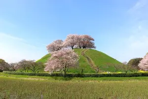 絶景SAITAMA