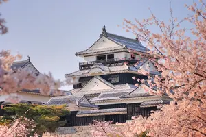 贅沢！愛媛を全て満喫する旅