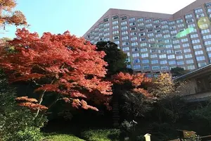 文京区の音羽界隈を気ままにお散歩