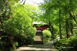 鎌倉・北鎌倉のお気に入り