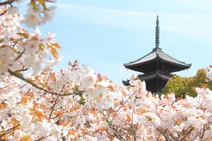 京都 きぬかけの路を歩く大人旅