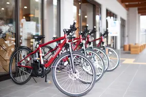 E-bike Cycling in Kyoto Miyama