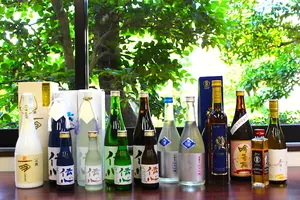 日帰りかつやま！？～短時間で主要箇所をめぐる旅～