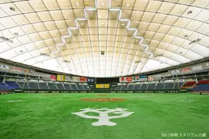 夫婦2人で行く東京ドーム観戦