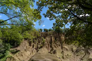 【徳島・三好】観光に最適！おすすめスポット集✨