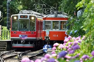 梅雨だから…そして今だからこそ敢えて行く！箱根の山であじさい＆温泉ざんまい