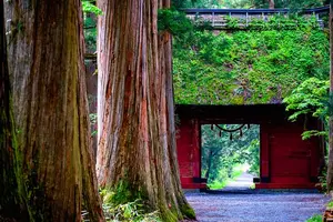 新春🎍開運旅🎍でパワーアップ💪