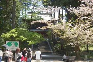 渋さが魅力。いざ、定番だけど外さない鎌倉へ。