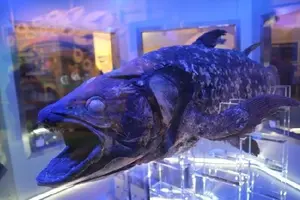 静岡水族館メイン旅行