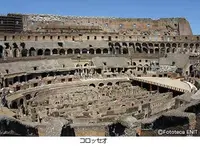 Colosseo （コロッセオ）の写真・動画_image_492796