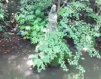 勝持寺の写真・動画_image_78625