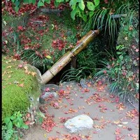 詩仙堂丈山寺の写真・動画_image_70370