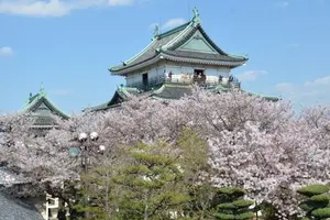 関西　おはな