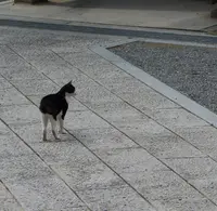 西方寺・普明閣の写真・動画_image_162922