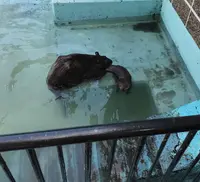 帯広動物園の写真・動画_image_437226