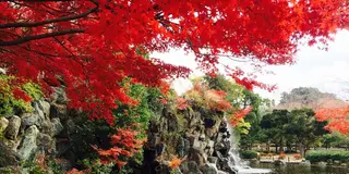 あなたに　げんきを　おくるまち　〜上尾〜