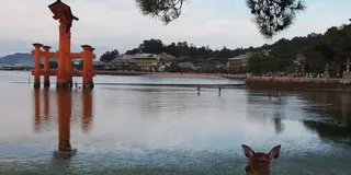 広島、気ままに満喫ひとり旅♡