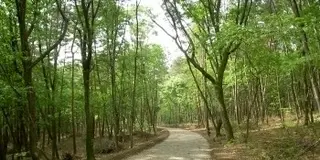 これといったものはないけれど、心が洗われる旅、安曇野