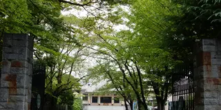 お江戸てらまちさんぽ 初秋の門仲・深川をぶらり