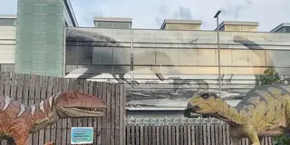 【北陸新幹線開通🚄】延伸駅のオススメスポット14選！後編（福井・越前たけふ・敦賀）