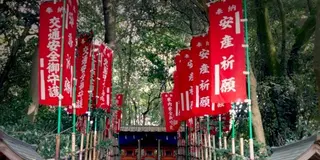 神鎮まる島、大三島で女神様を巡る旅。