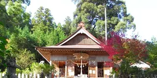 宝 八幡宮へ行こう！