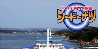 天草シードーナツでイルカにタッチ
