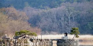京都・一人で歩く奥嵯峨