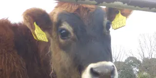 ひまわりの丘公園で遊んで、牧場で学ぶ旅
