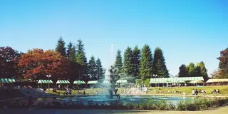 【都内】ゆっくりとした時間が流れる公園まとめ