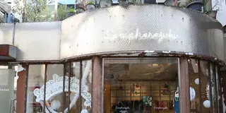 モモイロインコが見た表参道 ーガーリーモード巡りー