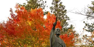 車中泊日本一周 2009-2010 (06) 山形県
