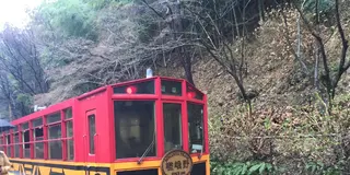 初めての嵐山