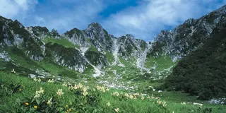 【７～８月】高山植物の宝庫中央アルプス千畳敷カール 標高2,612ｍへロープウェイで誰でも行ける絶景